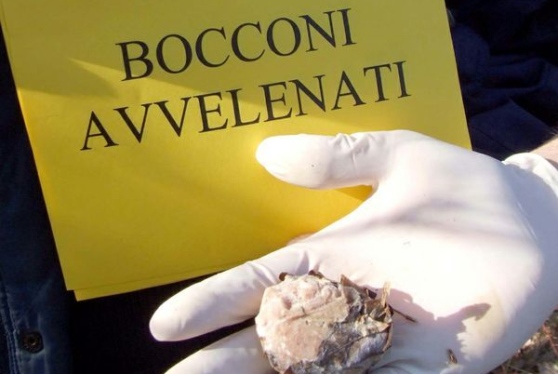 avvelenati2