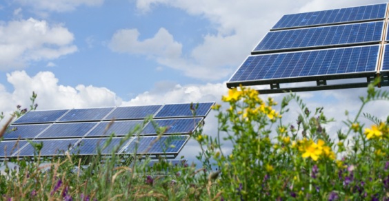 biosolar