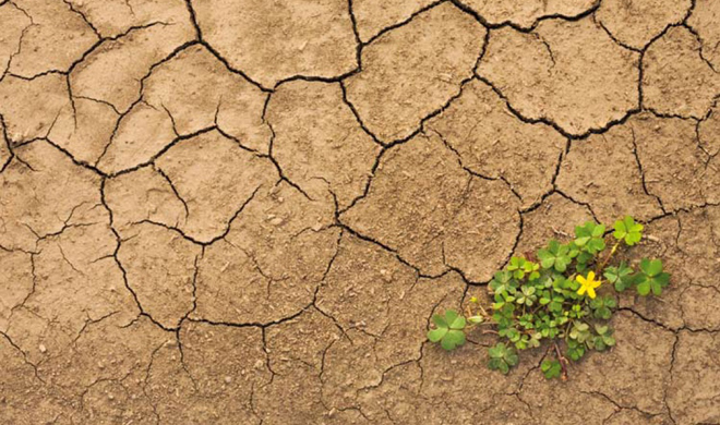 cambiamento climatico