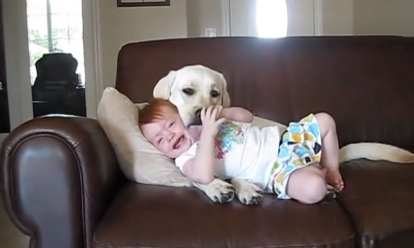 cane e bimba