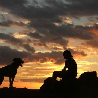 cane e uomo