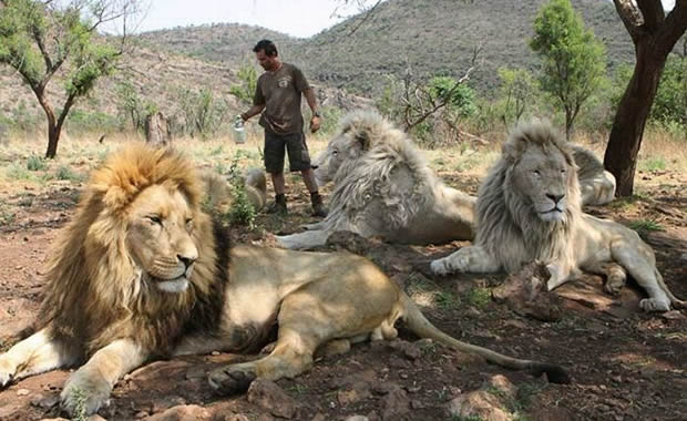 Kevin Richardson