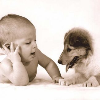 cane e bambino