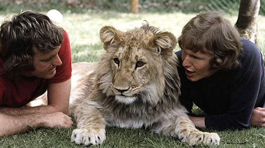 leone