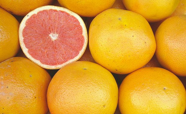 pompelmo