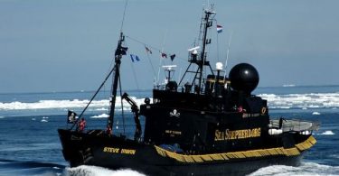 sea shepherd