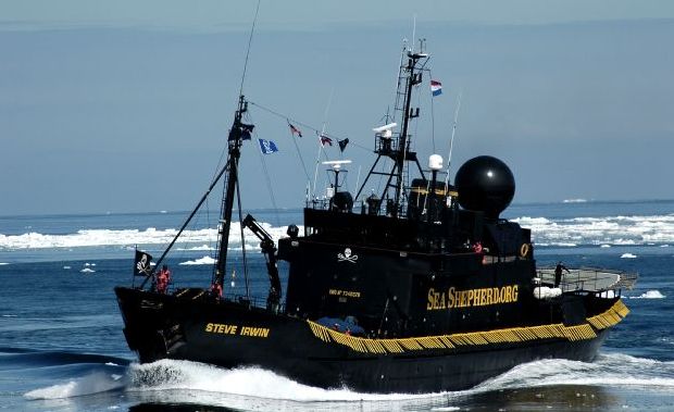 sea shepherd