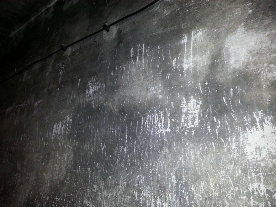 Auschwitz