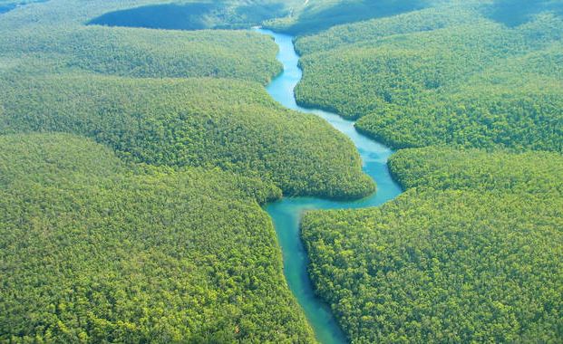 foresta amazzonica