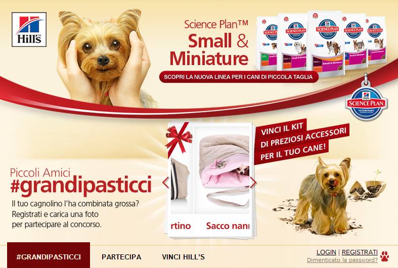 grandipasticci