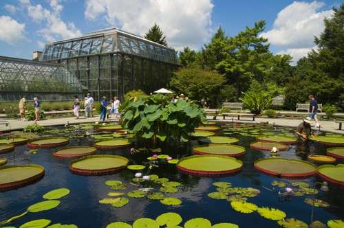 giardini_indoor_9