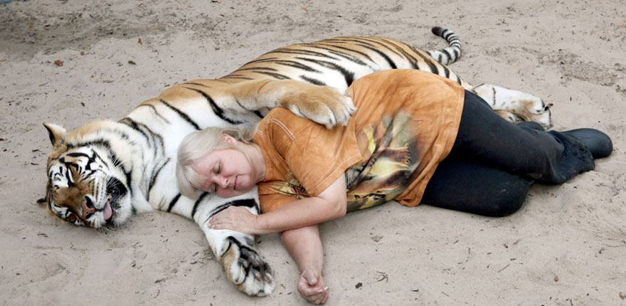 pet-tigers-janda-saber-janice-haley-4