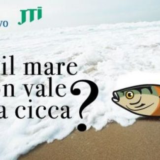 cicche mare