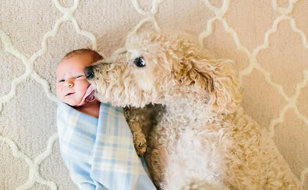 cane e bambini