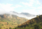 tanzania