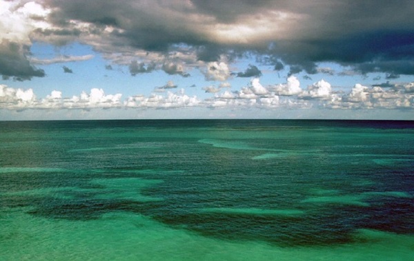 acidificazione oceani