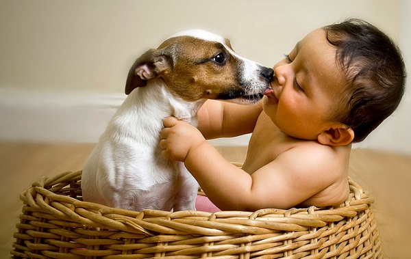 cane e bambini