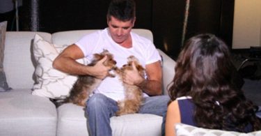 simon cowell