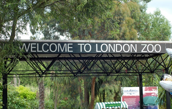 zoo londra
