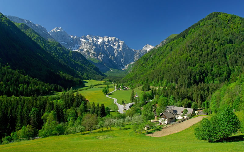 Veronagest