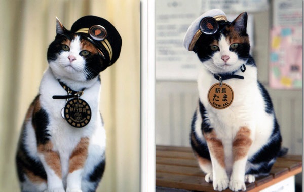 tama09