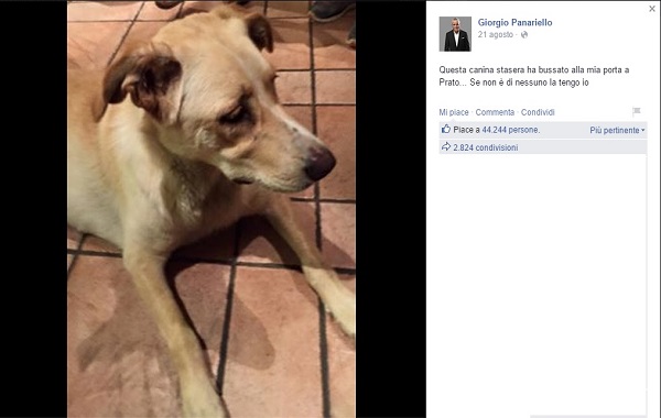cane-panariello