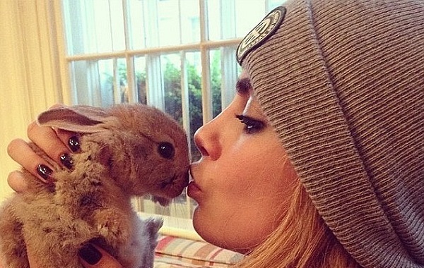 delevigne