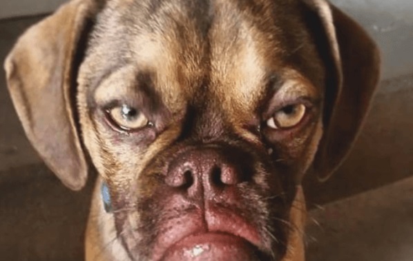 earl0