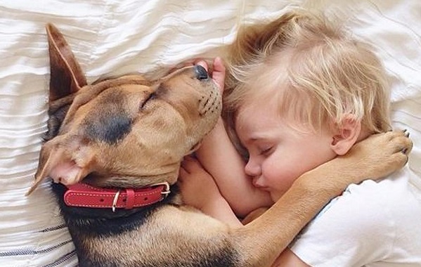 allergie-cani-bambini
