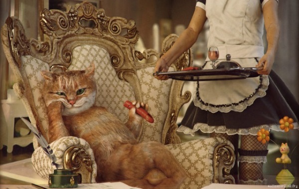 gatto-ereditiero