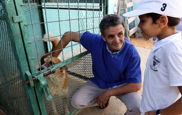 veterinario-guerra