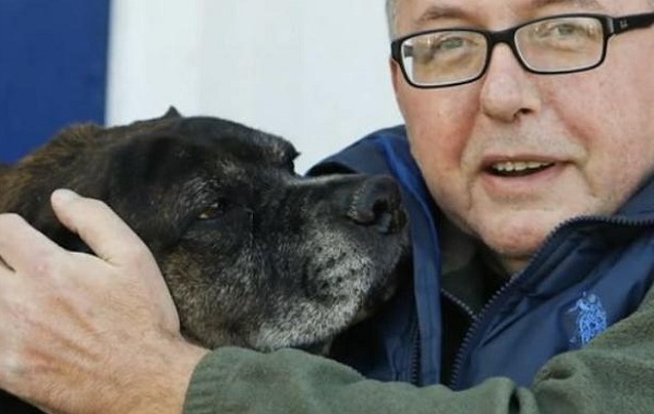 cane-39353