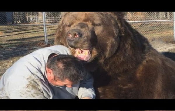ORSO-UOMO