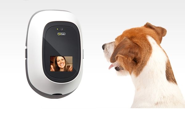 PETCHATZ