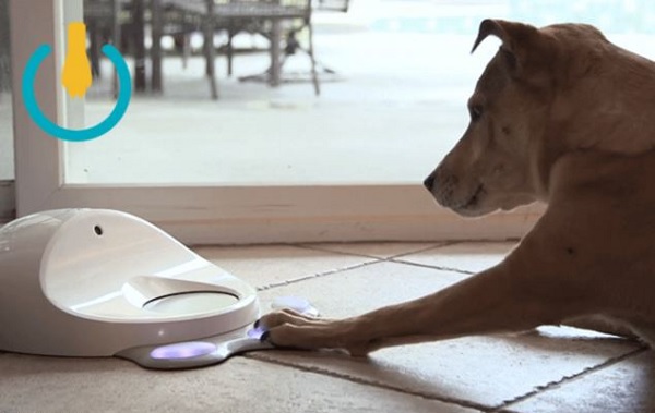 cleverpethub