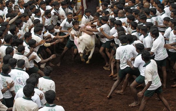 corrida-indiana