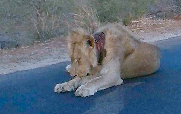 leone03