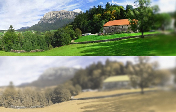 vista-gatti