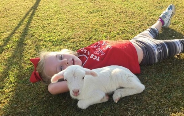 lamby